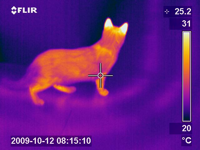 Leckageortung im Gebäude